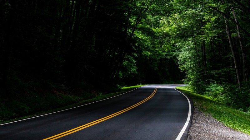 landscape, nature, road, trees, forest