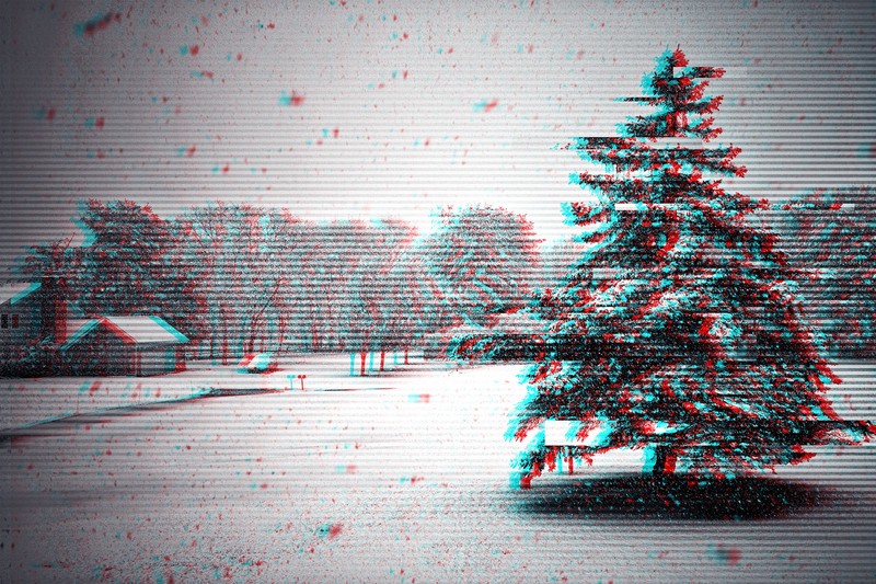 trees, tree bark, tree trunk, snow, snow flakes, winter, monochrome, low saturation, photography, landscape, edit, Photoshop, glitch art, USA, cold