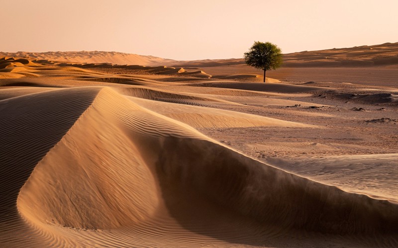 desert, sand, nature, landscape