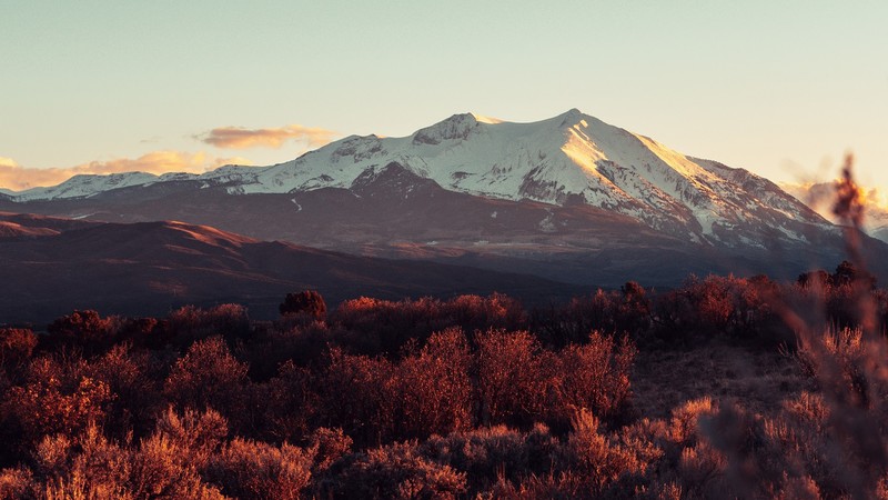 nature, trees, snow, mountains, landscape, plants, outdoors