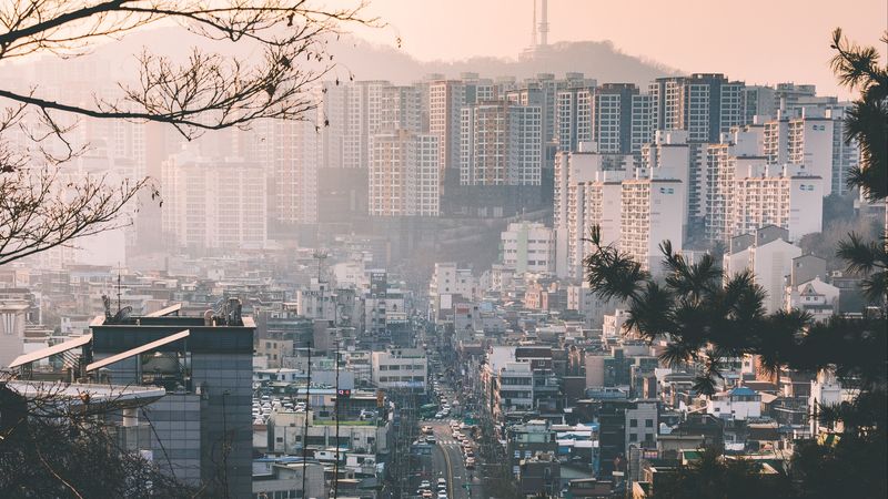 city, fog, buildings, branches, aerial view, 4k