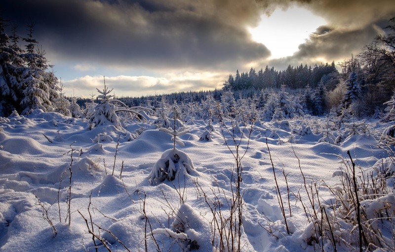 nature, winter, snow, landscape