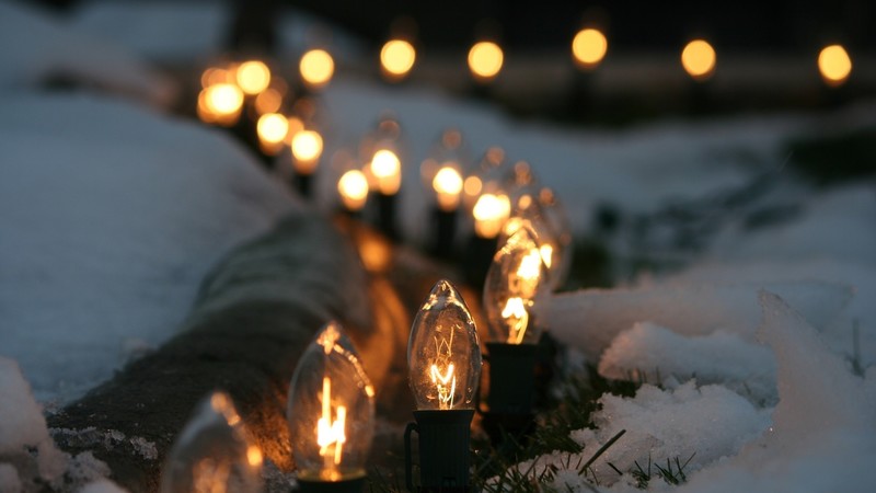 light bulb, lights, snow, winter, depth of field