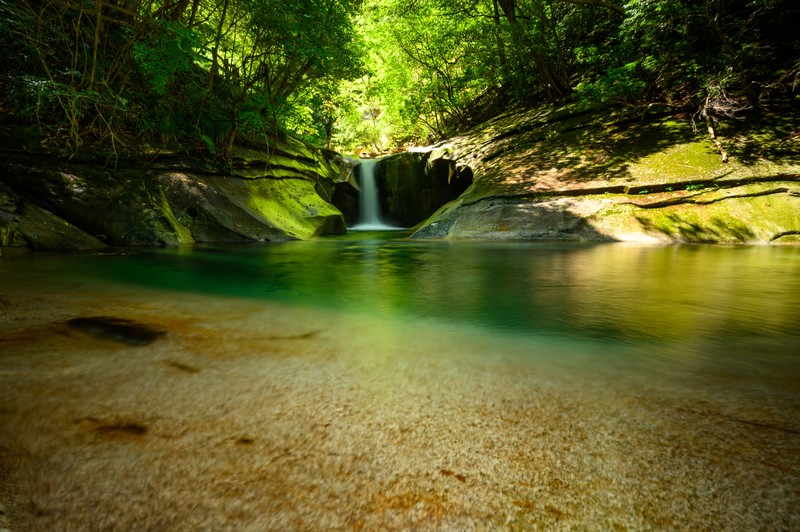 nature, waterfall, water, trees, plants, rocks, sunlight, long exposure, forest, Japan