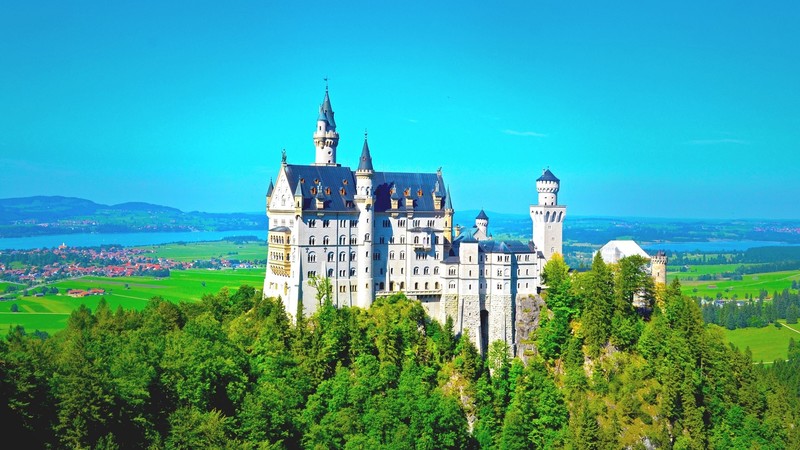 Neuschwanstein Castle, building, architecture, castle, trees, forest, landscape