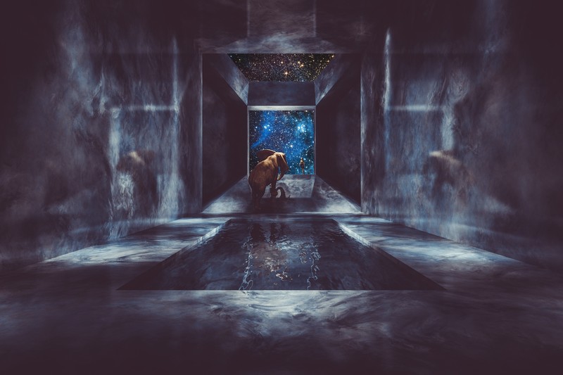 artwork, fantasy art, elephant, animals, stars, space, swimming pool