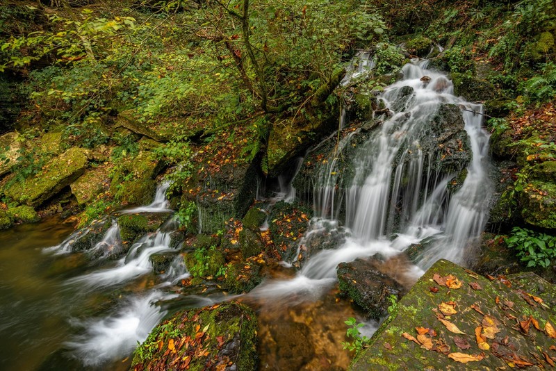 Tennessee, water, plants, nature, waterfall, fall