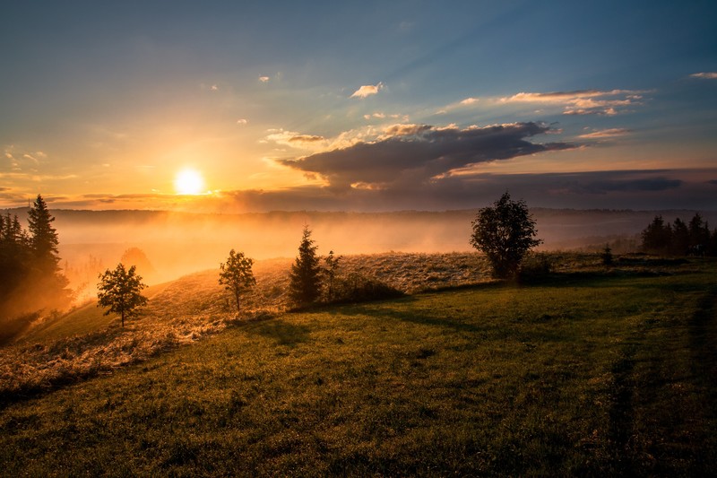 landscape, sunset, trees, sun rays, mist, nature, hill, Romania