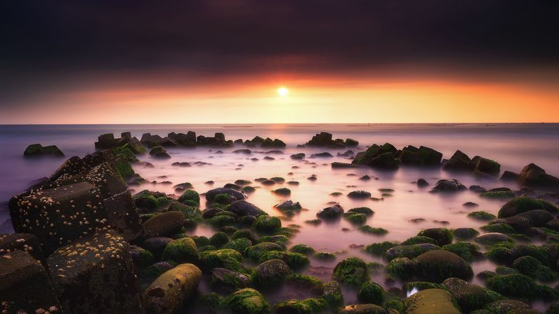 sunset, horizon, stones, moss, 4k