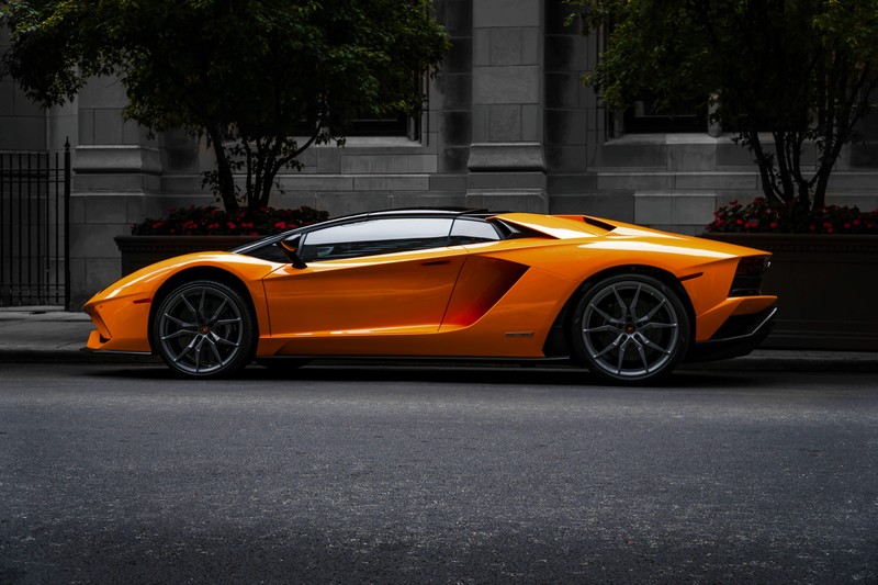 Lamborghini Aventador LP 750-4, Lamborghini, car, supercars, italian, Lamborghini Aventador, yellow, trees, red flowers, road, parking