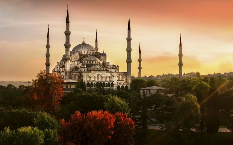 Sultan Ahmed Mosque, Istanbul, Turkey, mosque, city, architecture, Islamic architecture, Ottoman architecture, trees