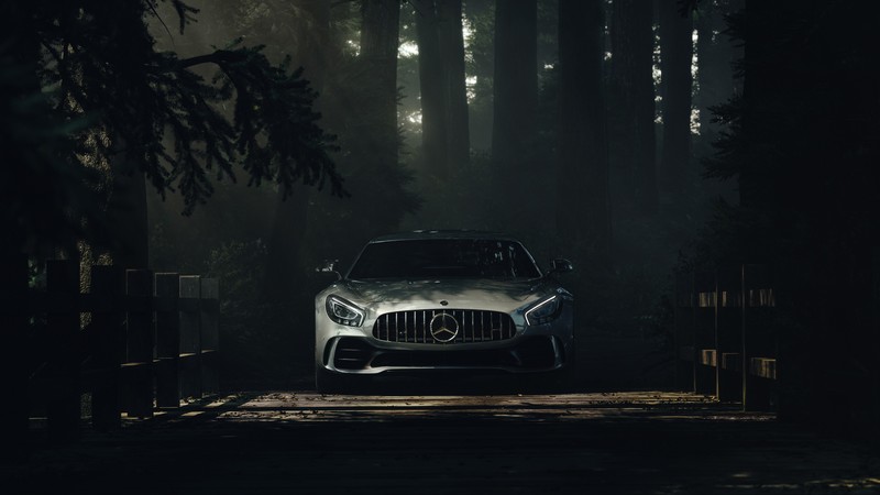 car, forest, shadow, Mercedes-AMG GT