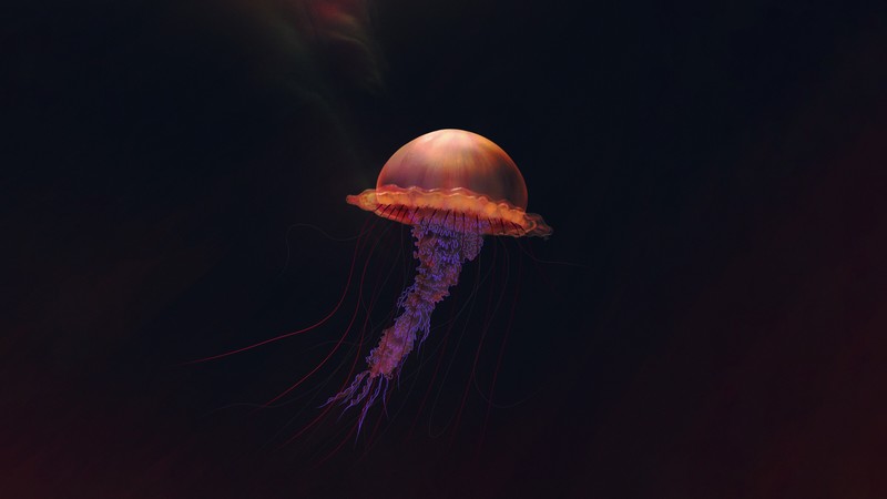 simple background, artwork, illustration, tentacles, jellyfish