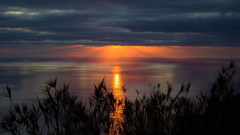 sea, horizon, sunset, clouds, grass, twilight, 4k