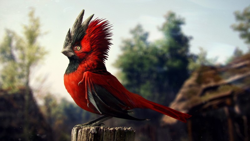 CD Projekt RED, Raróg, digital art, creature, fantasy art, bats, birds, The Witcher