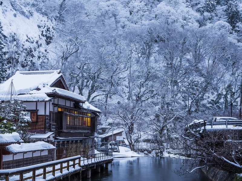 house, building, snow, winter, trees, Japan