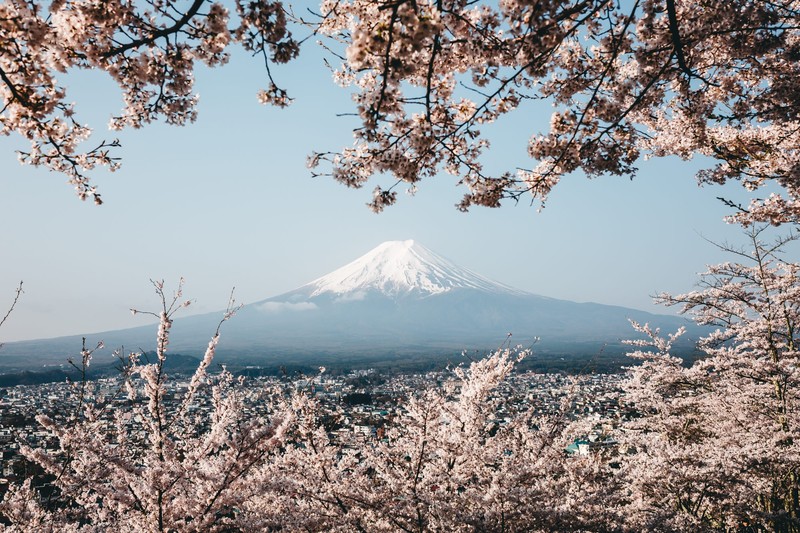 landscape, photography, nature, mountains, Mount Fuji, flowers, snow, volcano, Japan