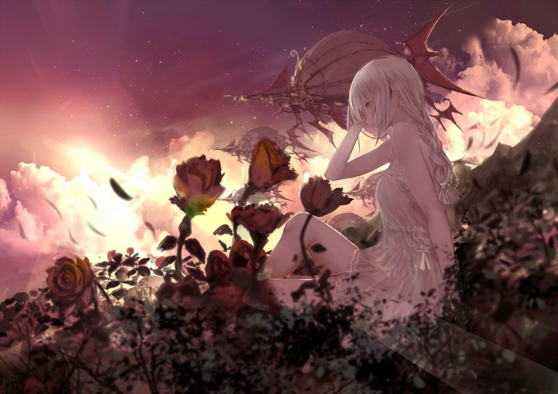 airships, blonde, roses, dress, flowers, sunset, clouds, sky, sitting, long hair, braids, stars