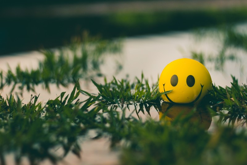 nature, plants, water, smiley, ball