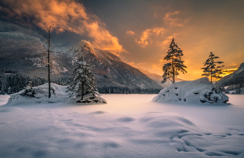 Germany, Bavaria, winter, nature, snow, landscape, trees, sunset