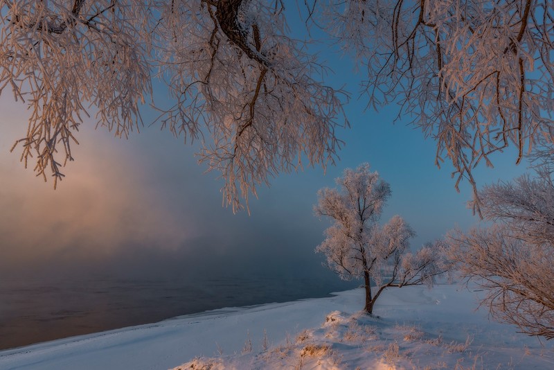 Russia, snow, winter, trees, landscape, outdoors, nature