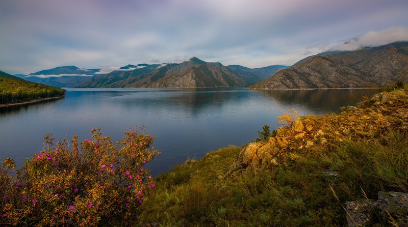 water, plants, landscape, outdoors, nature, Russia