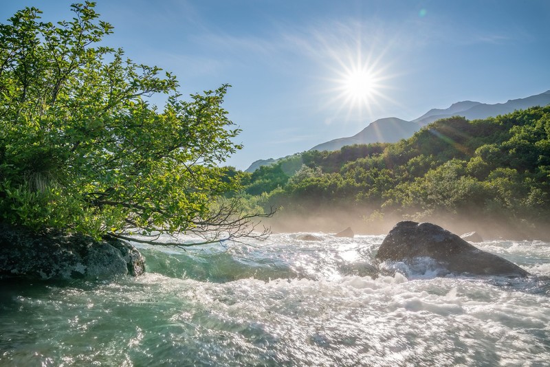 nature, river, water, Sun