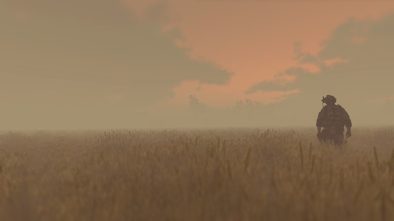 Arma 3, ArmA III, sandstorms, wheat, soldier