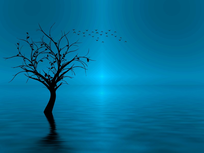 trees, birds