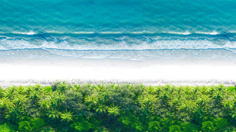 beach, aerial view, water, trees
