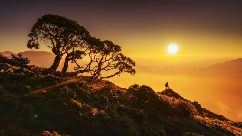 sun, silhouette, hill, 4k