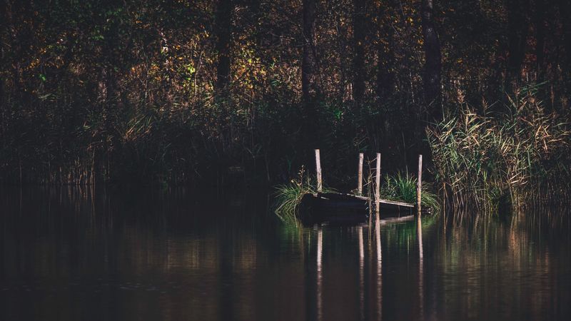 pier, river, trees, grass, forest, 4k