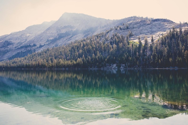 nature, lake, river, landscape