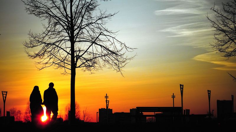 couple, silhouettes, sunset, walk, tree, 4k
