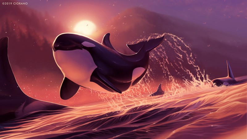digital, digital art, artwork, illustration, drawing, digital painting, water, sea, animals, whale, orca, dolphin, nature, landscape, Sun, sun rays, sunset, dusk, mountains
