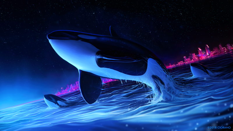 digital, digital art, artwork, illustration, drawing, digital painting, animals, whale, orca, night, sky, night sky, skyscape, landscape, nature, stars, starry night, starred sky, water, sea, lights, fantasy art, city, cityscape, city lights, architecture, building, dolphin, blue, pink
