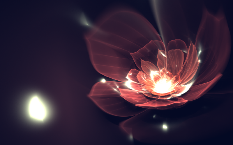 fractal, fractal flowers, 3D fractal