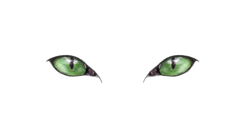 eyes, cats, simple, simple background, white background, green eyes, artwork, pencil drawing, drawing, white, minimalism