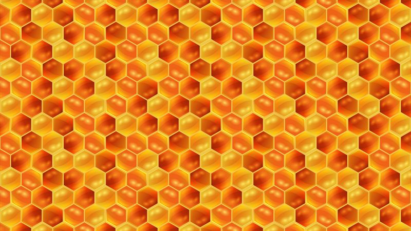 honeycombs, honey, pattern, texture, patterns, 4k