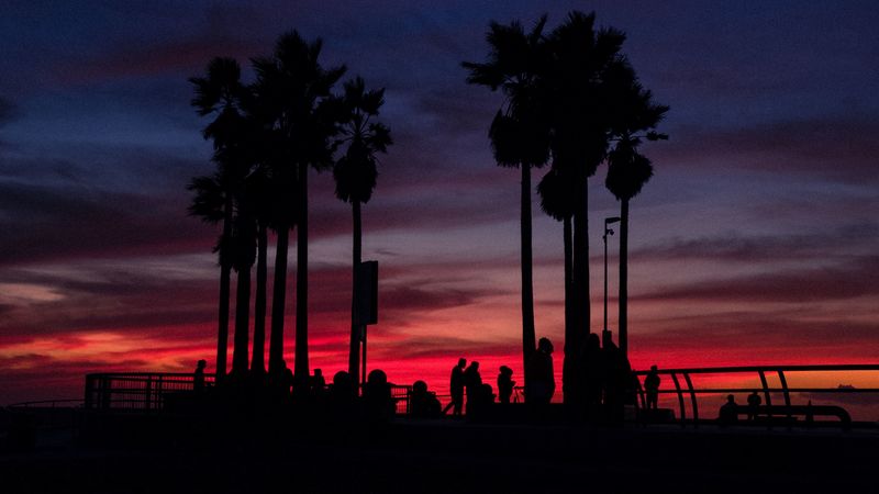 sunset, silhouettes, palm trees, people, tropics, sky, 4k