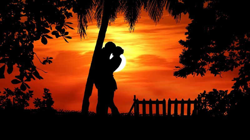 couple, silhouettes, hugs, romance, love, tropics, 4k