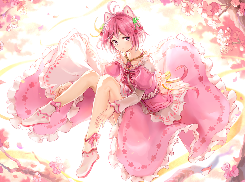anime girls, anime, original characters, nekomimi, pink hair, pink eyes, backlighting, artwork, drawing, digital art, illustration, 2D, Maeshimashi
