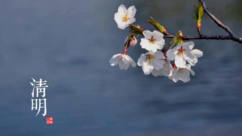 solar terms, seasons, Chinese character, flowers