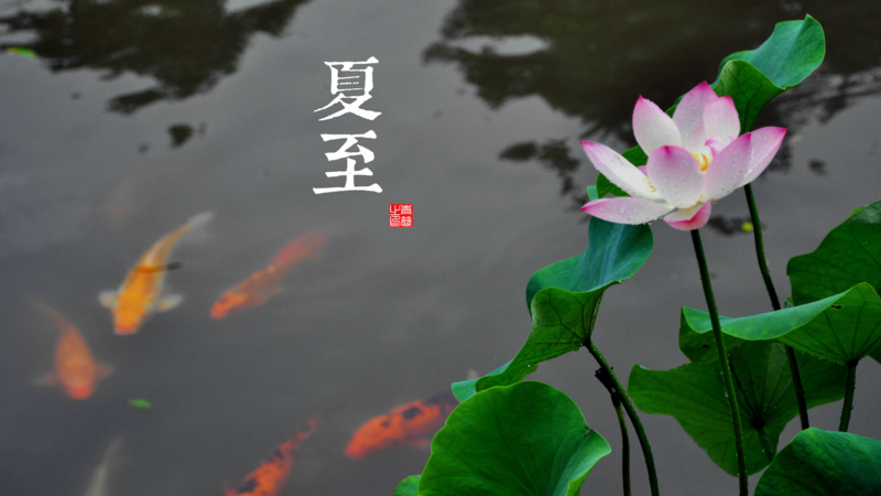 solar terms, seasons, fish, water, Chinese characters