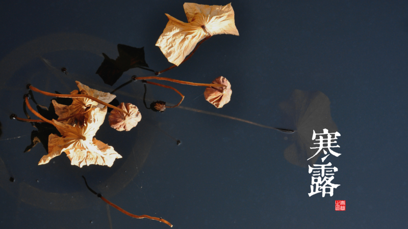 solar terms, seasons