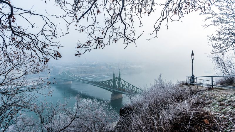 bridge, fog, aerial view, branches, frost, snow, winter, budapest, hungary, 4k