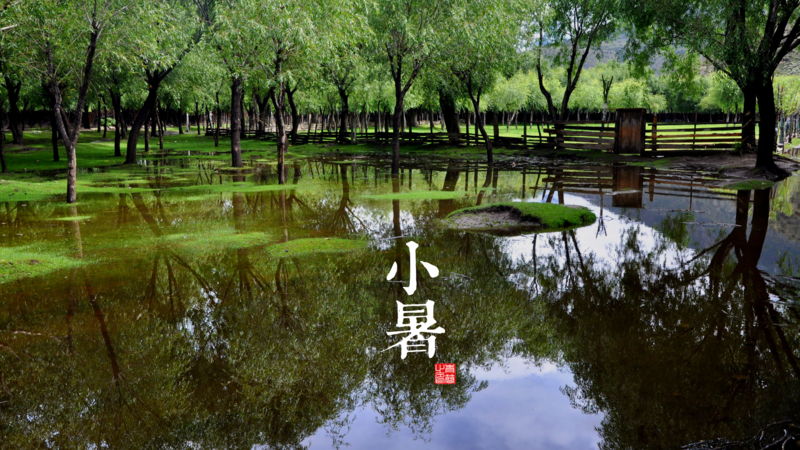 solar terms, seasons, Slight Heat (Xiao Shu), 11th Solar Term, July 7 or 8