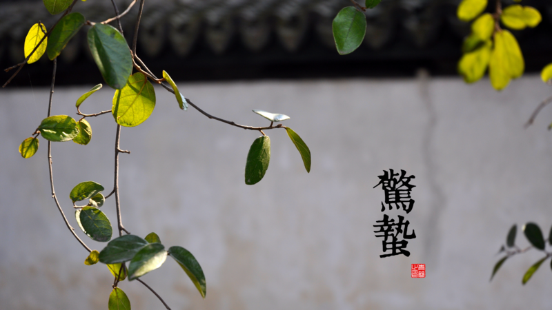 solar terms, seasons, Waking of Insects (Jing Zhe), 3rd Solar Term