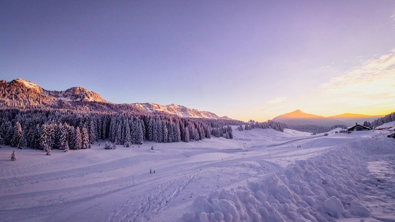 winter, snow, trees, mountains, forest