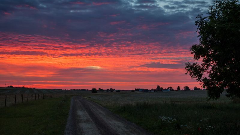 dawn, sunrise, horizon, road, clouds, morning, grass, sky, 4k